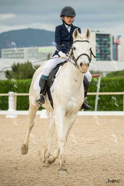 DOMA02032025S-419