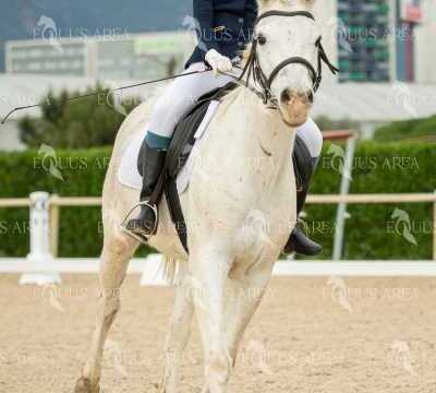 DOMA02032025S-419