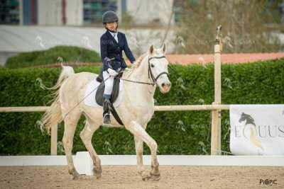DOMA02032025S-420