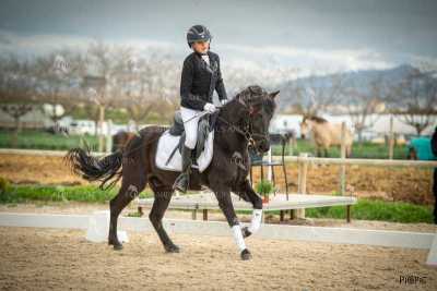 DOMA02032025S-426