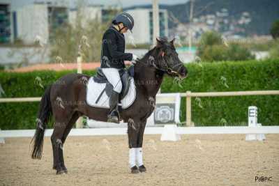 DOMA02032025S-428