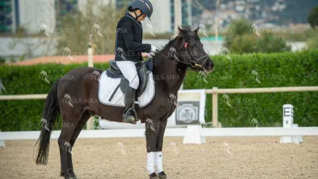 DOMA02032025S-428