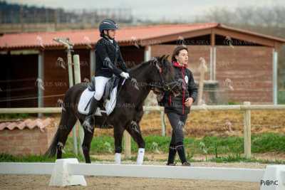 DOMA02032025S-431