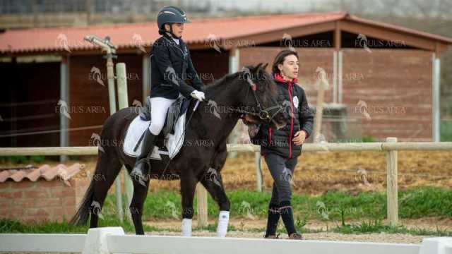 DOMA02032025S-431
