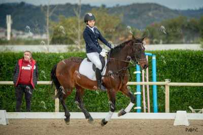 DOMA02032025S-434