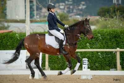 DOMA02032025S-435
