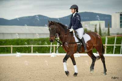 DOMA02032025S-437