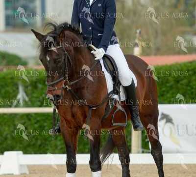 DOMA02032025S-438