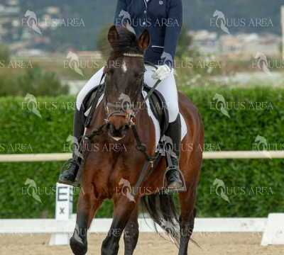 DOMA02032025S-439