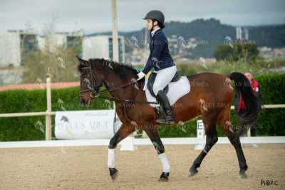 DOMA02032025S-442