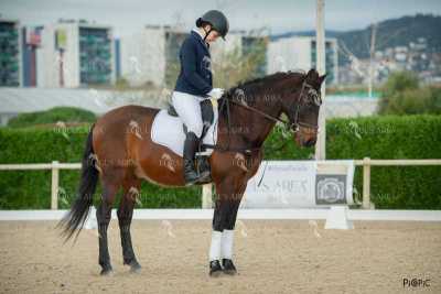 DOMA02032025S-443