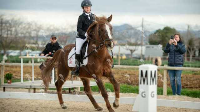 DOMA02032025S-450