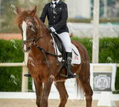 DOMA02032025S-452