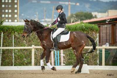 DOMA02032025S-469