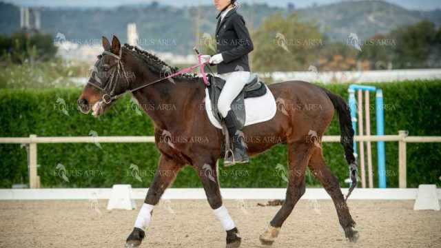 DOMA02032025S-472