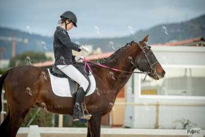 DOMA02032025S-473