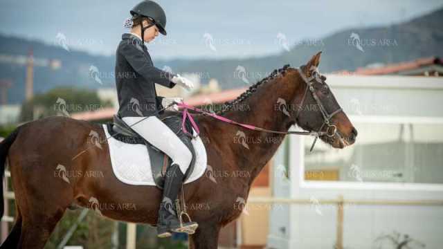 DOMA02032025S-473