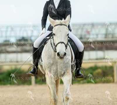 DOMA02032025S-478