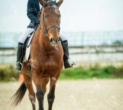 DOMA02032025S-490