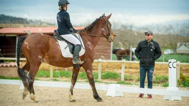 DOMA02032025S-494