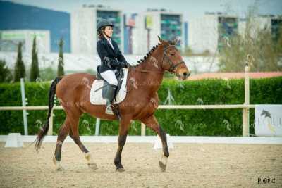 DOMA02032025S-495
