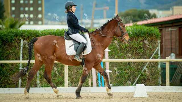 DOMA02032025S-498