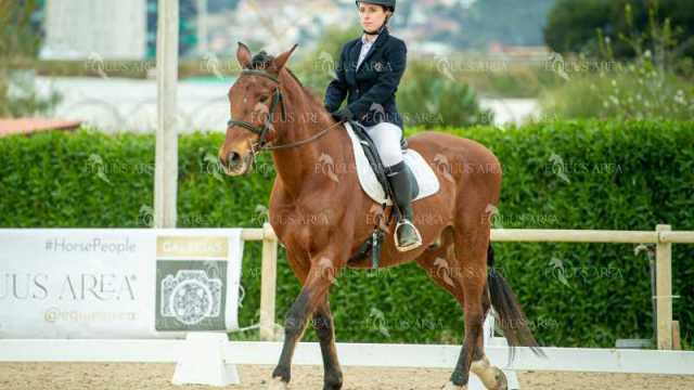 DOMA02032025S-499