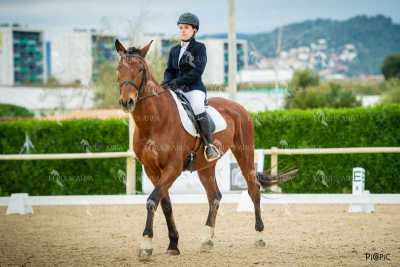 DOMA02032025S-501