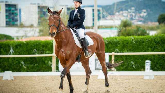 DOMA02032025S-501
