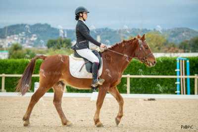 DOMA02032025S-507