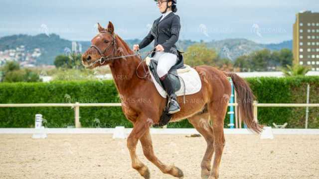 DOMA02032025S-508