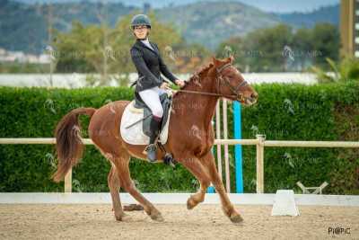 DOMA02032025S-509