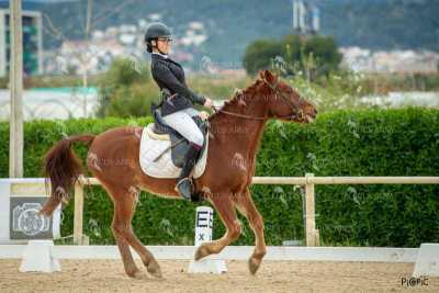 DOMA02032025S-510