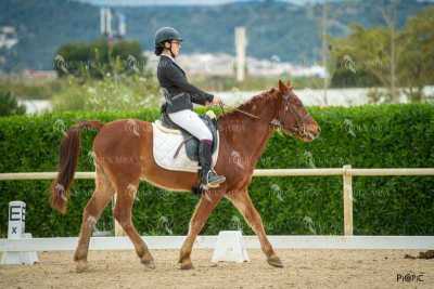 DOMA02032025S-511