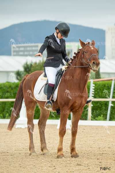 DOMA02032025S-517