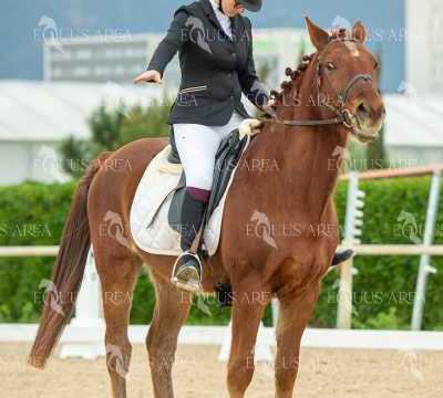 DOMA02032025S-517