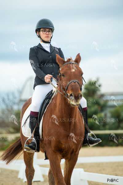 DOMA02032025S-518