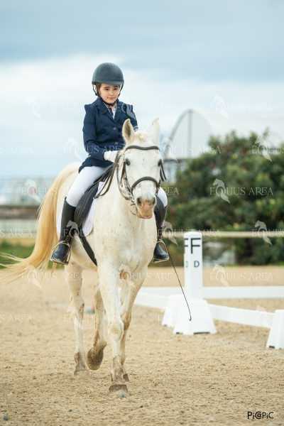 DOMA02032025S-522
