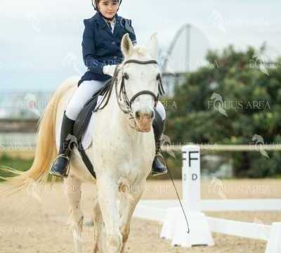 DOMA02032025S-522