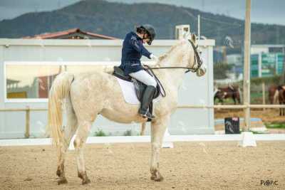 DOMA02032025S-524
