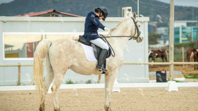 DOMA02032025S-524