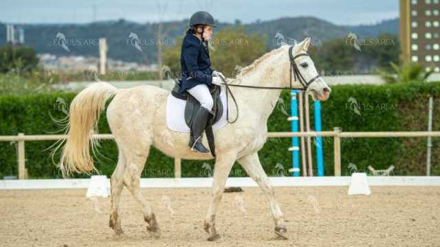 DOMA02032025S-525