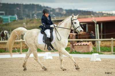 DOMA02032025S-526