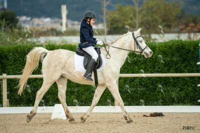 DOMA02032025S-527
