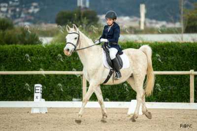 DOMA02032025S-528