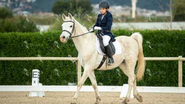 DOMA02032025S-528