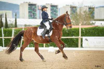 DOMA02032025S-537