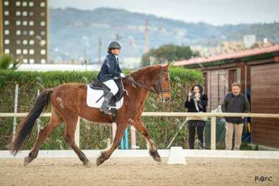 DOMA02032025S-538