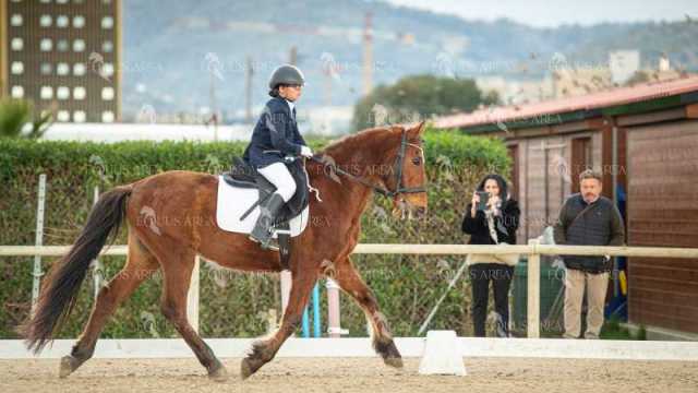 DOMA02032025S-538