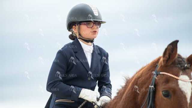 DOMA02032025S-542